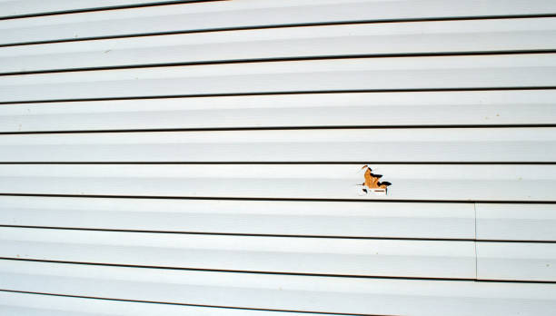 Best Storm Damage Siding Repair  in Cavalero, WA