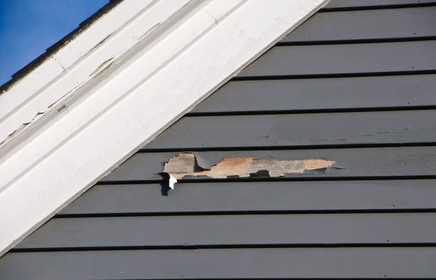 Siding for New Construction in Cavalero, WA